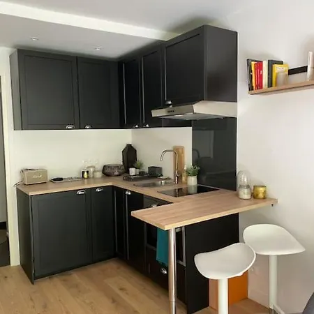 Agreable Et Moderne A Avec Jardin 塞纳河畔讷伊